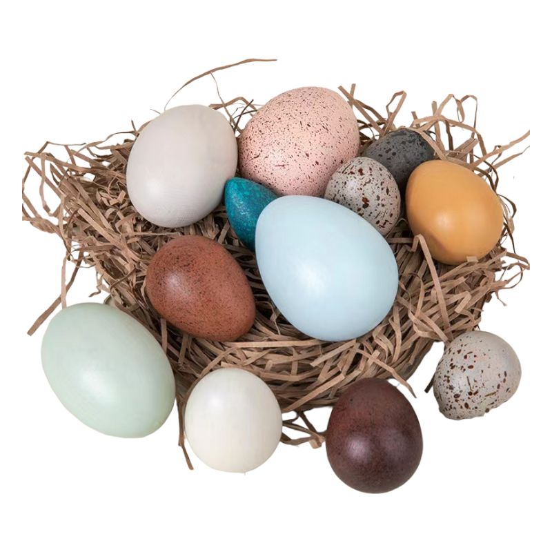 12 Pcs Wooden Bird Eggs Set |  | The Baby Penguin