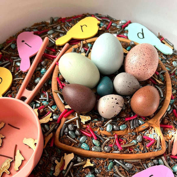 12 Pcs Wooden Bird Eggs Set |  | The Baby Penguin