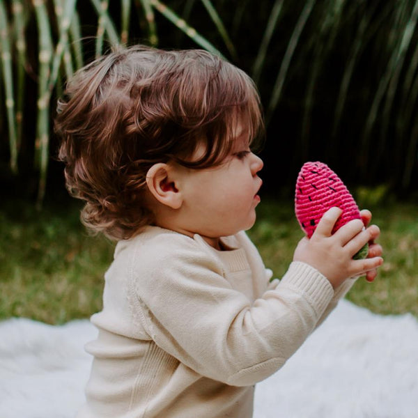 Friendly Watermelon Rattle |  | The Baby Penguin