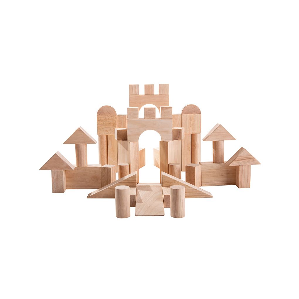 50 Unit Blocks - Top Sustainable Toy - PlanToys USA