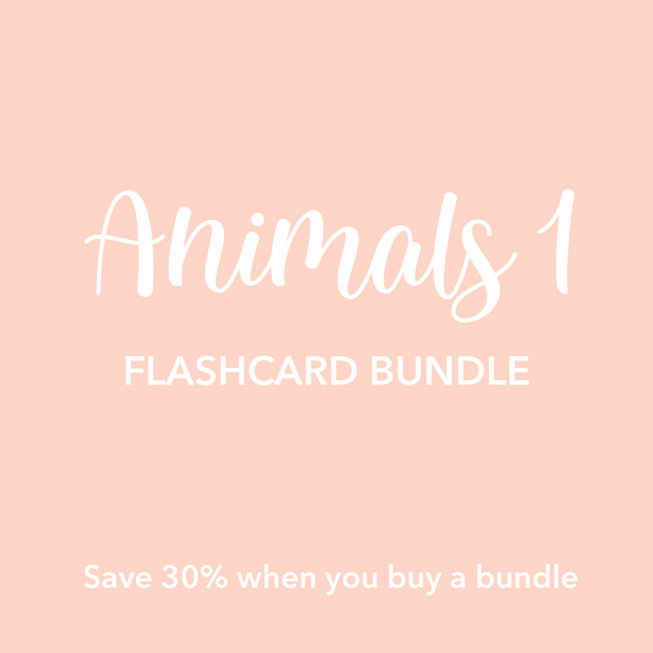 Animal 1 Flashcards Bundle - The Baby Penguin