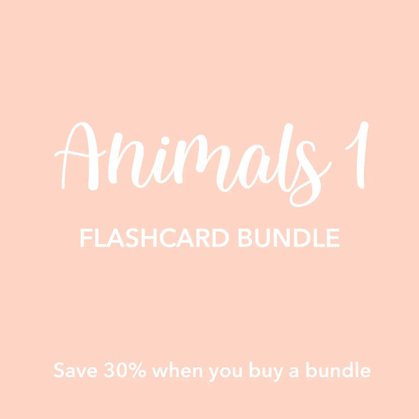 Animal 1 Flashcards Bundle - The Baby Penguin