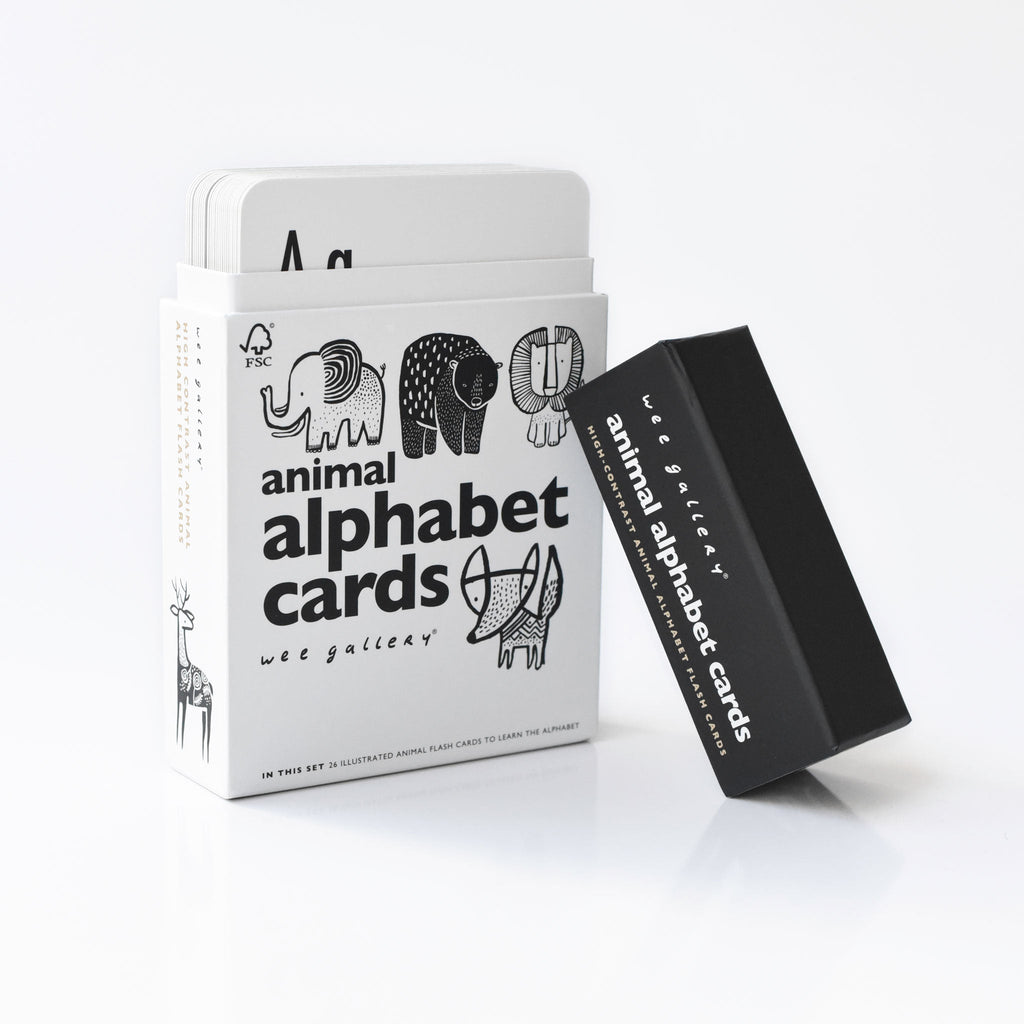 Animal Alphabet Cards - The Baby Penguin