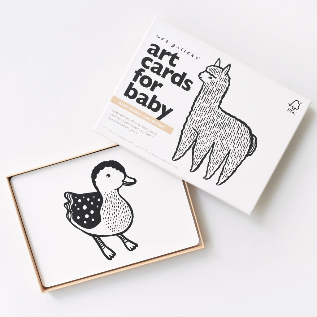 Art Cards for Baby - Baby Animals Collection - The Baby Penguin