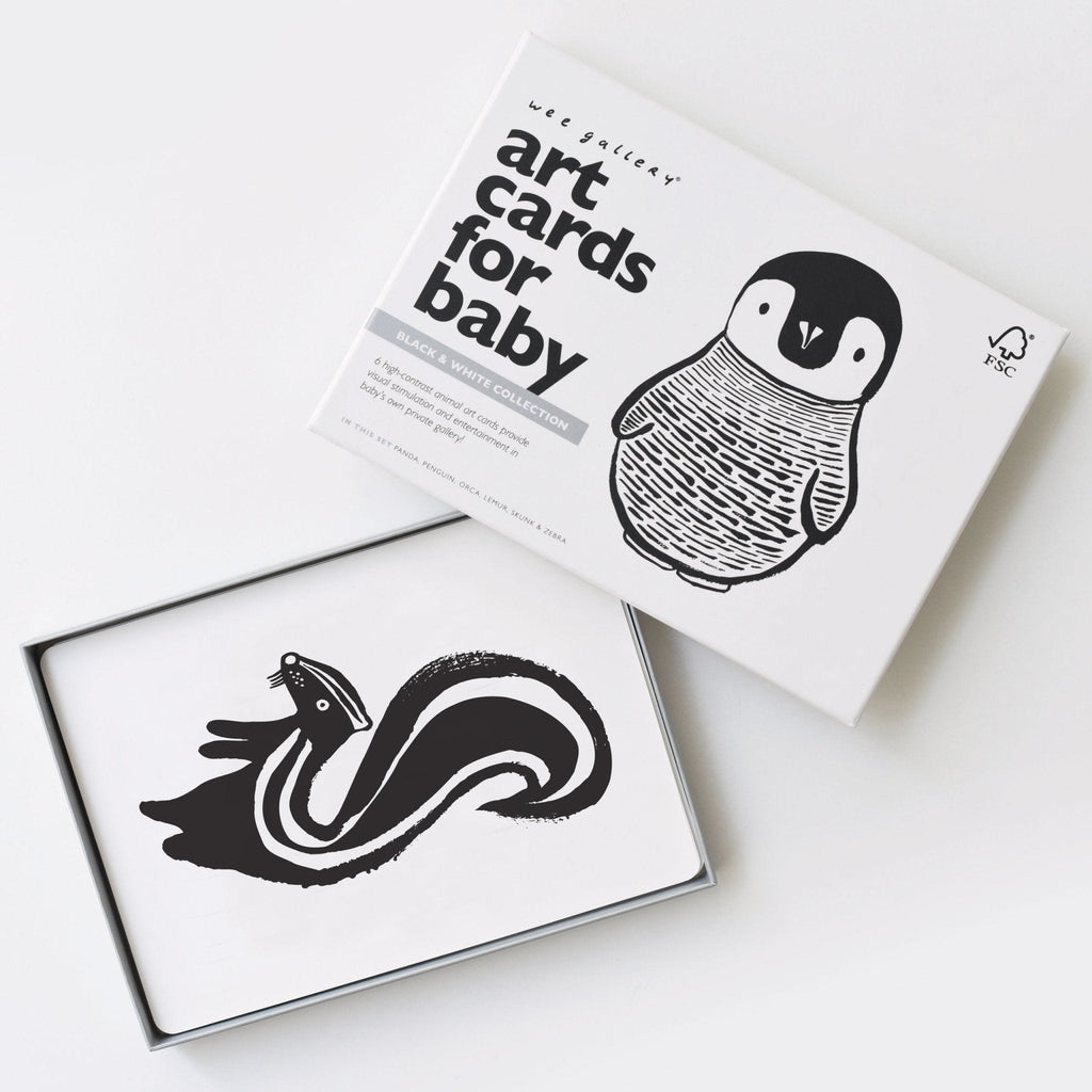 Art Cards for Baby - Black and White Collection - The Baby Penguin
