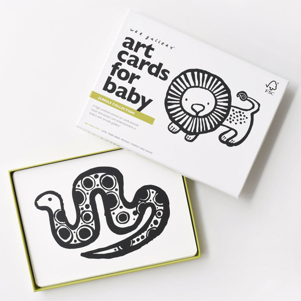 Art Cards for Baby - Jungle Collection - The Baby Penguin