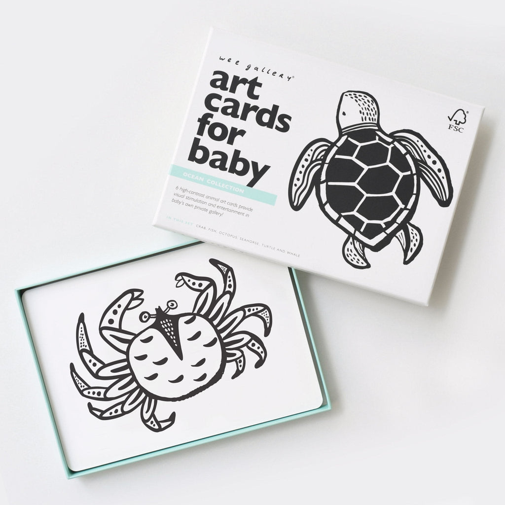 Art Cards for Baby - Ocean Collection - The Baby Penguin