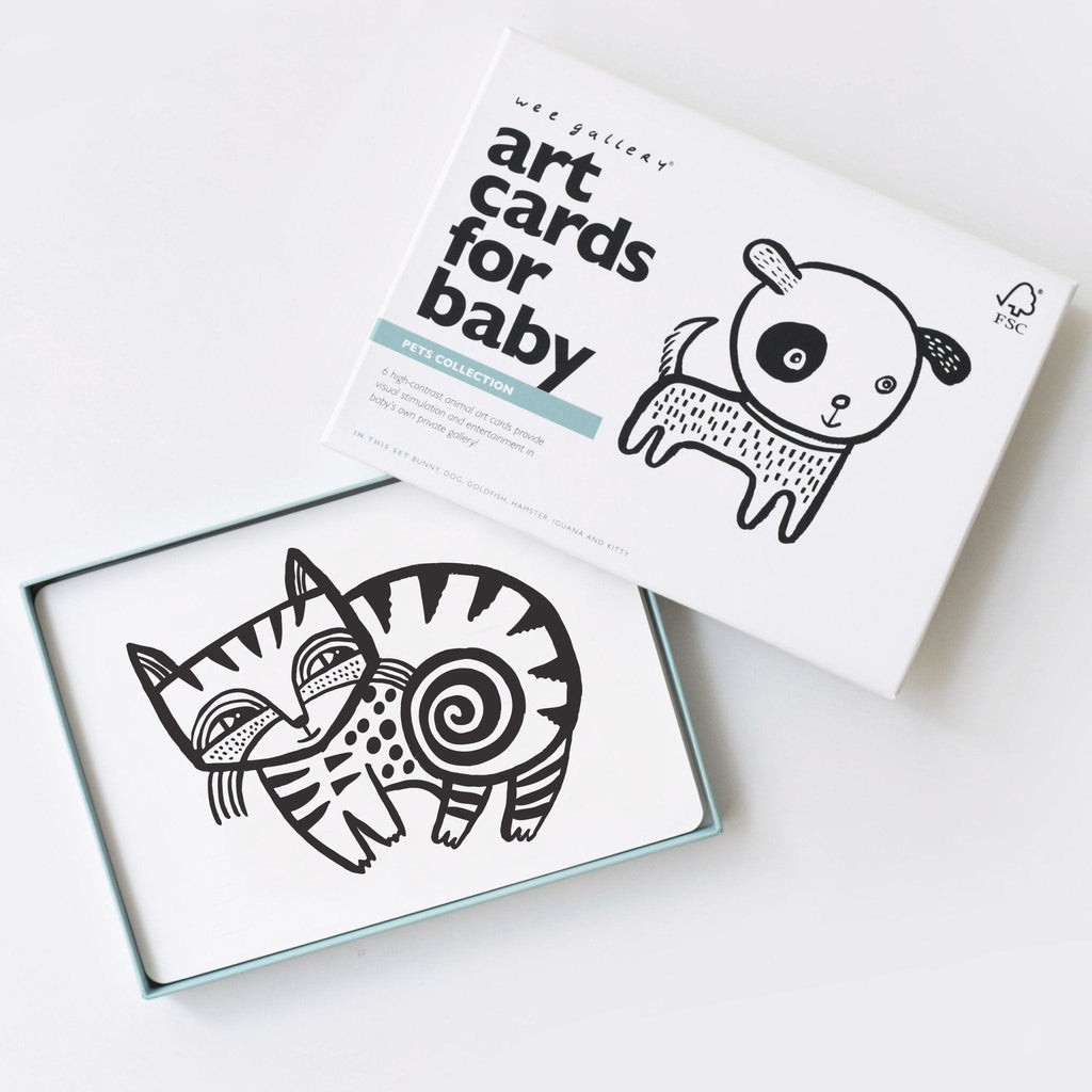 Art Cards for Baby - Pets Collection - The Baby Penguin