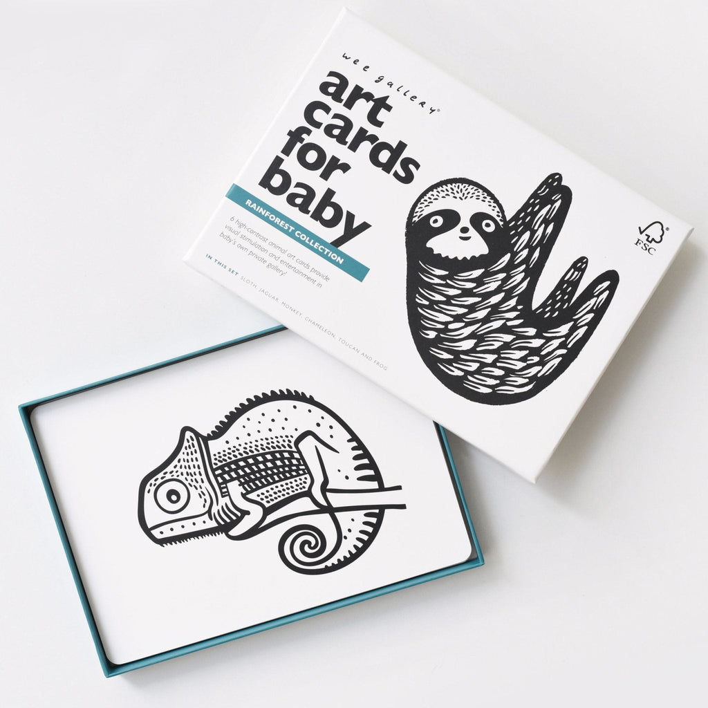 Art Cards for Baby - Rainforest Collection - The Baby Penguin