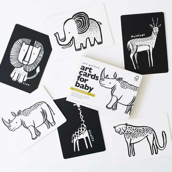 Art Cards for Baby - Safari Collection - The Baby Penguin