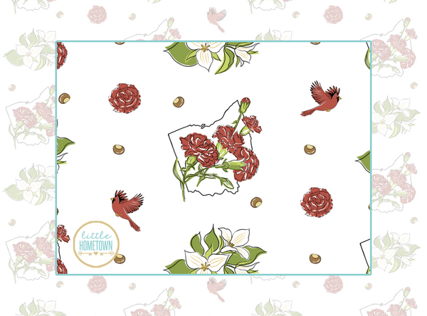  Baby Burp Cloth & Bib Combo Ohio Baby (Floral) by Little Hometown Little Hometown 