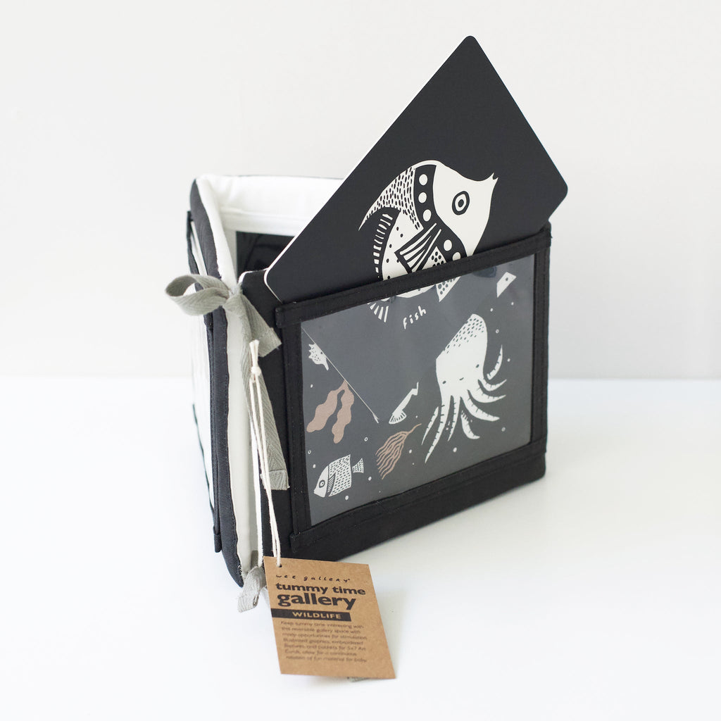 Baby Tummy Time Gallery with Mirror - The Baby Penguin