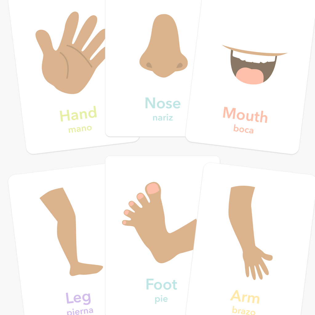 Body Parts Flashcards