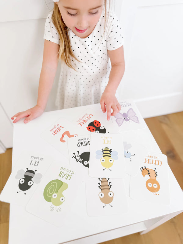 Bugs Flashcards - The Baby Penguin