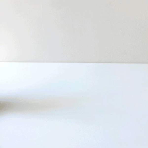 Bunny Push Toy - The Baby Penguin