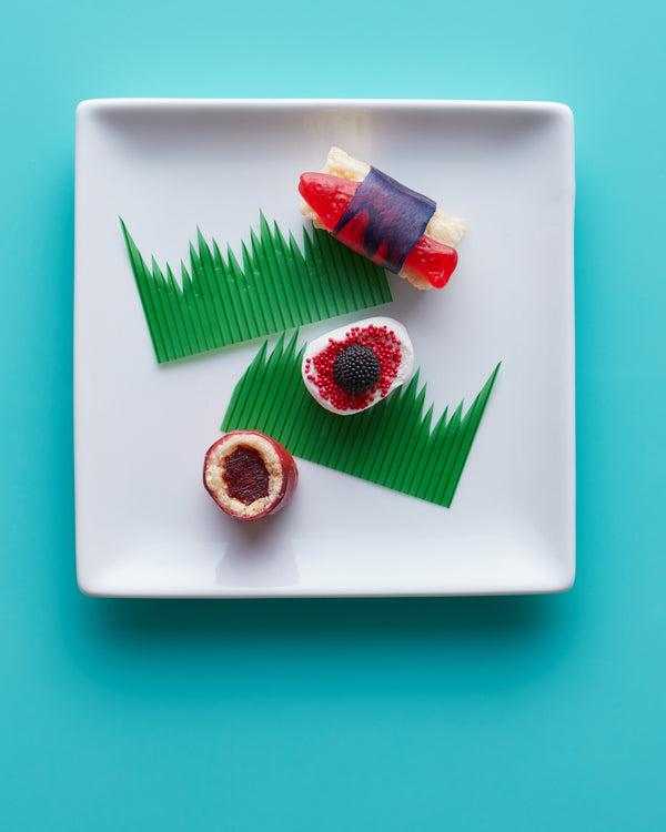 Candy Sushi Craft Kit