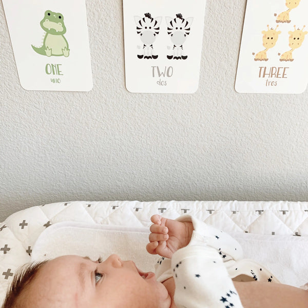 Counting Flashcards Animals - The Baby Penguin