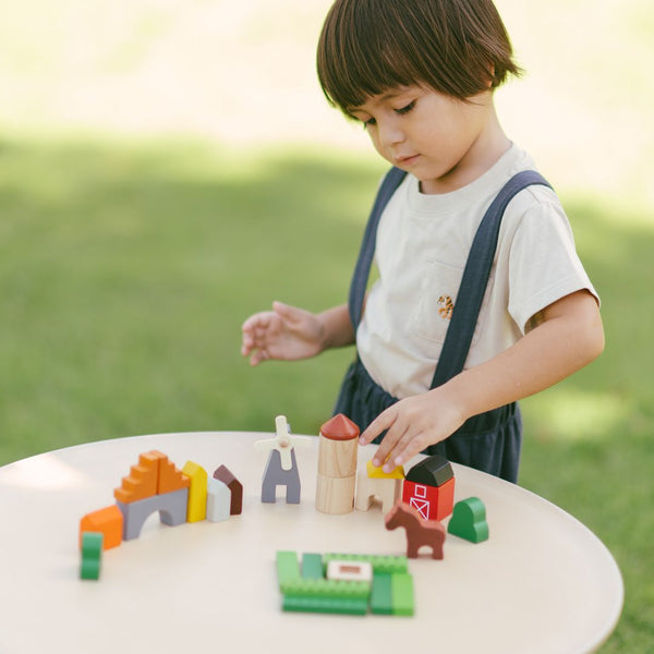Country Blocks - Top Sustainable Toy - PlanToys USA