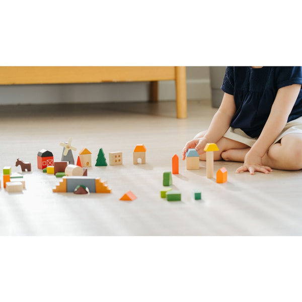 Countryside Blocks - Top Sustainable Toy - PlanToys USA - The Baby Penguin