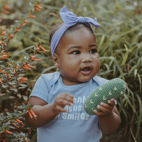 Friendly Pickle Rattle |  | The Baby Penguin