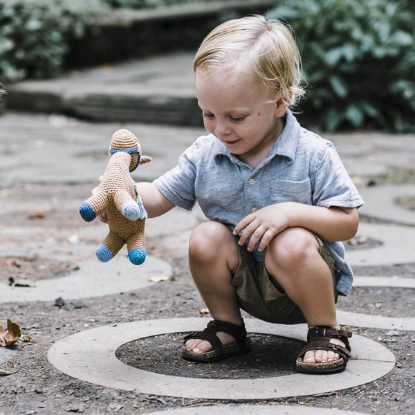 Horse Rattle |  | The Baby Penguin