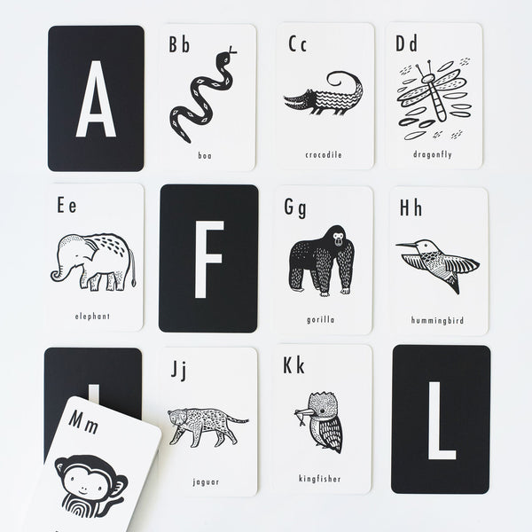 Jungle Alphabet Cards - The Baby Penguin