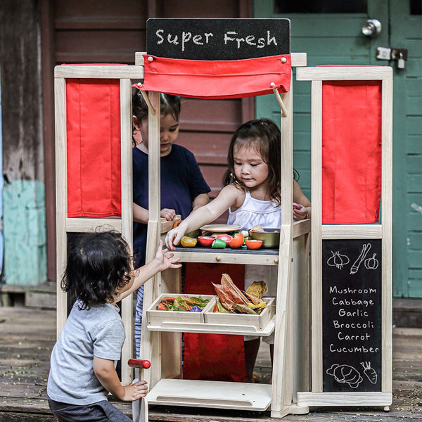 Play Center - Top Sustainable Toy - PlanToys USA - The Baby Penguin