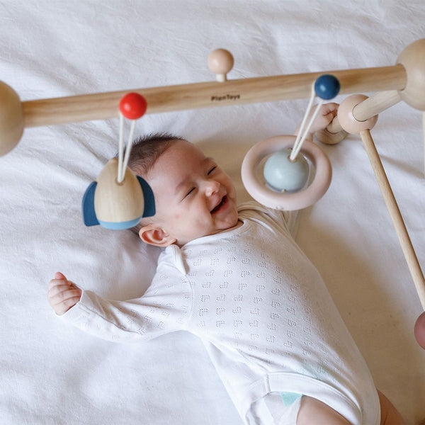 Play Gym - Orchard - Top Sustainable Toy - PlanToys USA