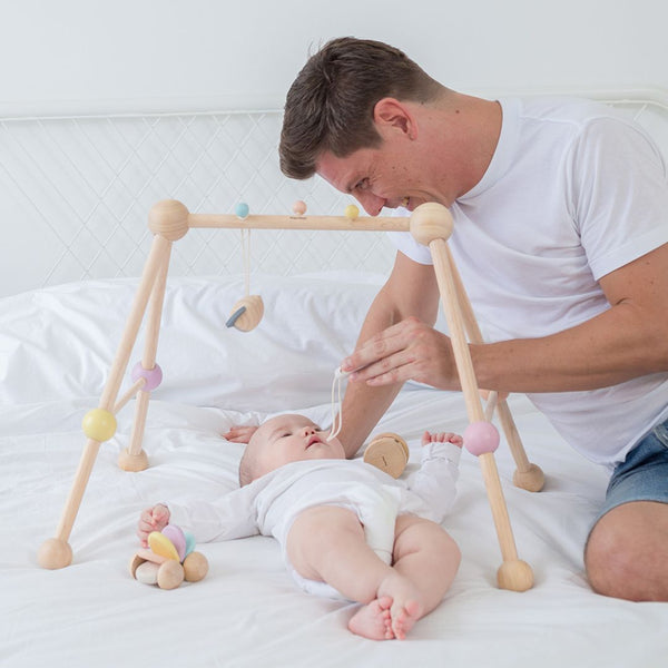 Play Gym - Pastel - Top Sustainable Toy - PlanToys USA - The Baby Penguin