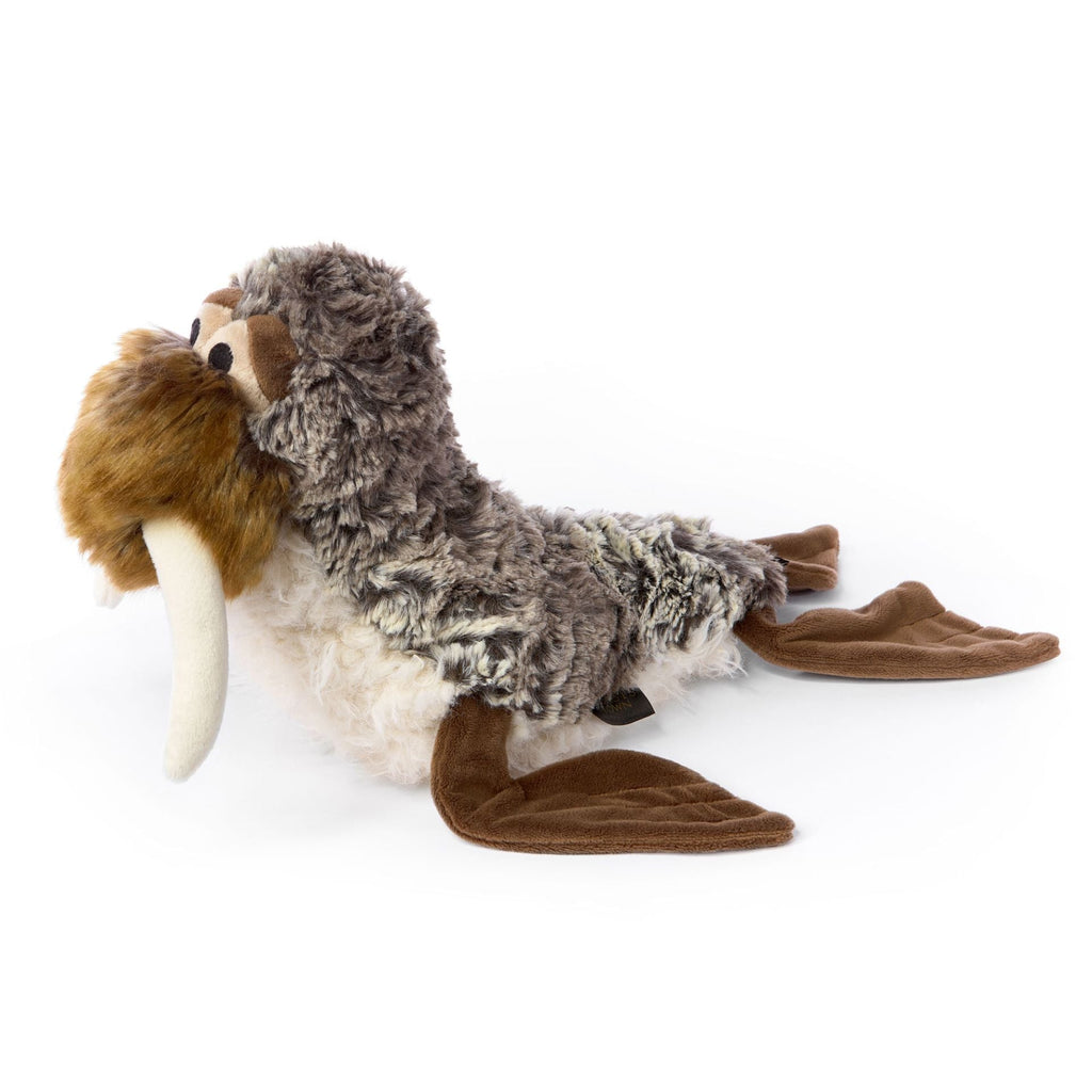 San Francis | Beasts | The Baby Penguin