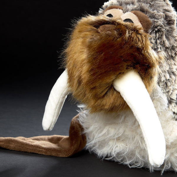 San Francis | Beasts | The Baby Penguin