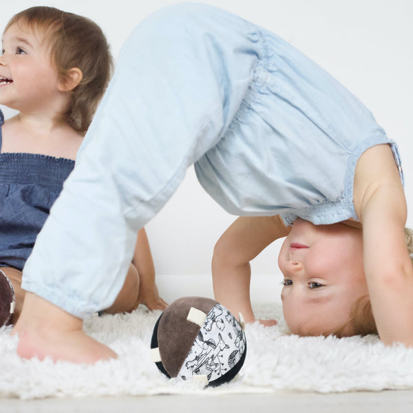 Taggy Ball with Rattle - Woodland - The Baby Penguin