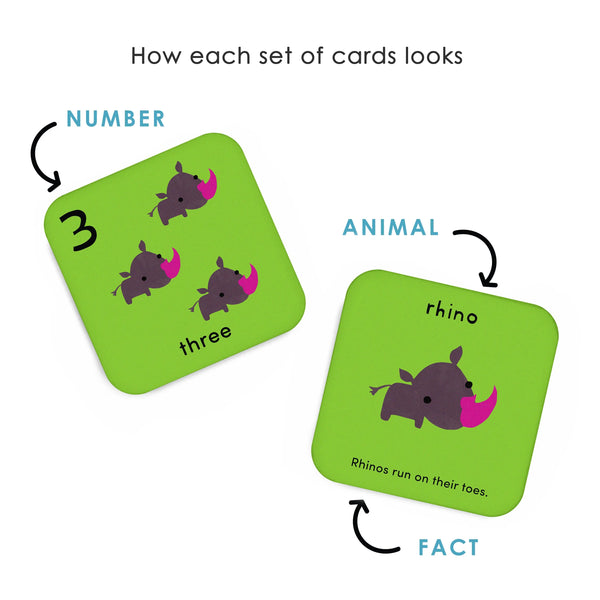 What's the Number? Number Flashcards by Worldwide Buddies Worldwide Buddies