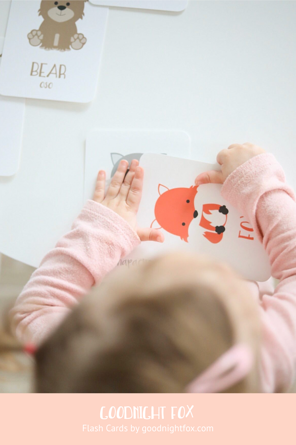 Woodland Animal Flashcards - The Baby Penguin