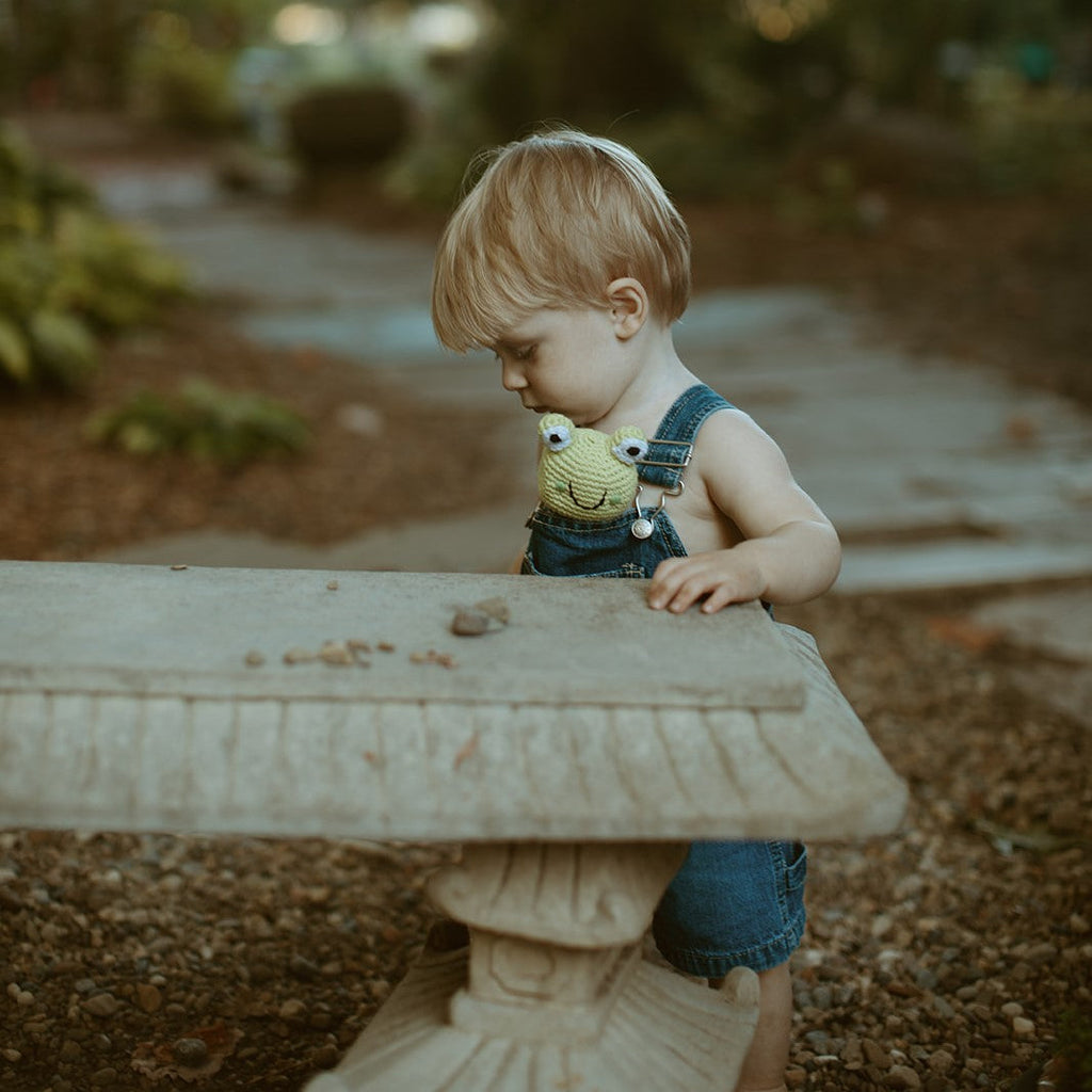 Frog Ring Rattle |  | The Baby Penguin