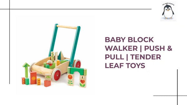 Baby Block Walker | Push &amp; Pull | Tender Leaf Toys by@Outfy
