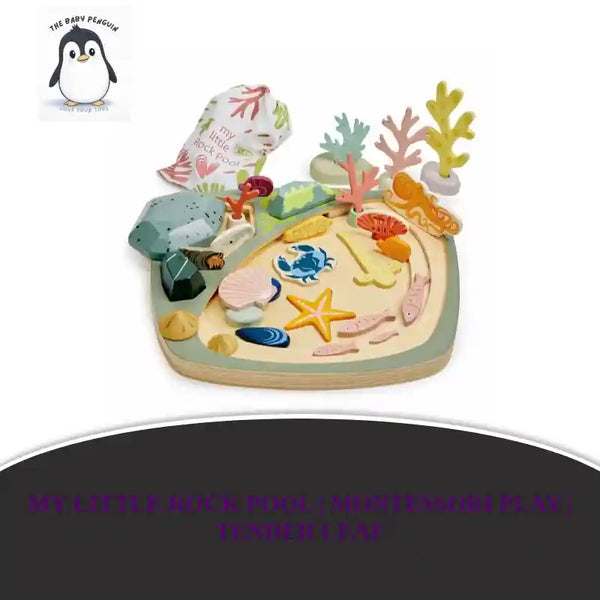 My Little Rock Pool | Montessori Play | Tender Leaf by@Outfy
